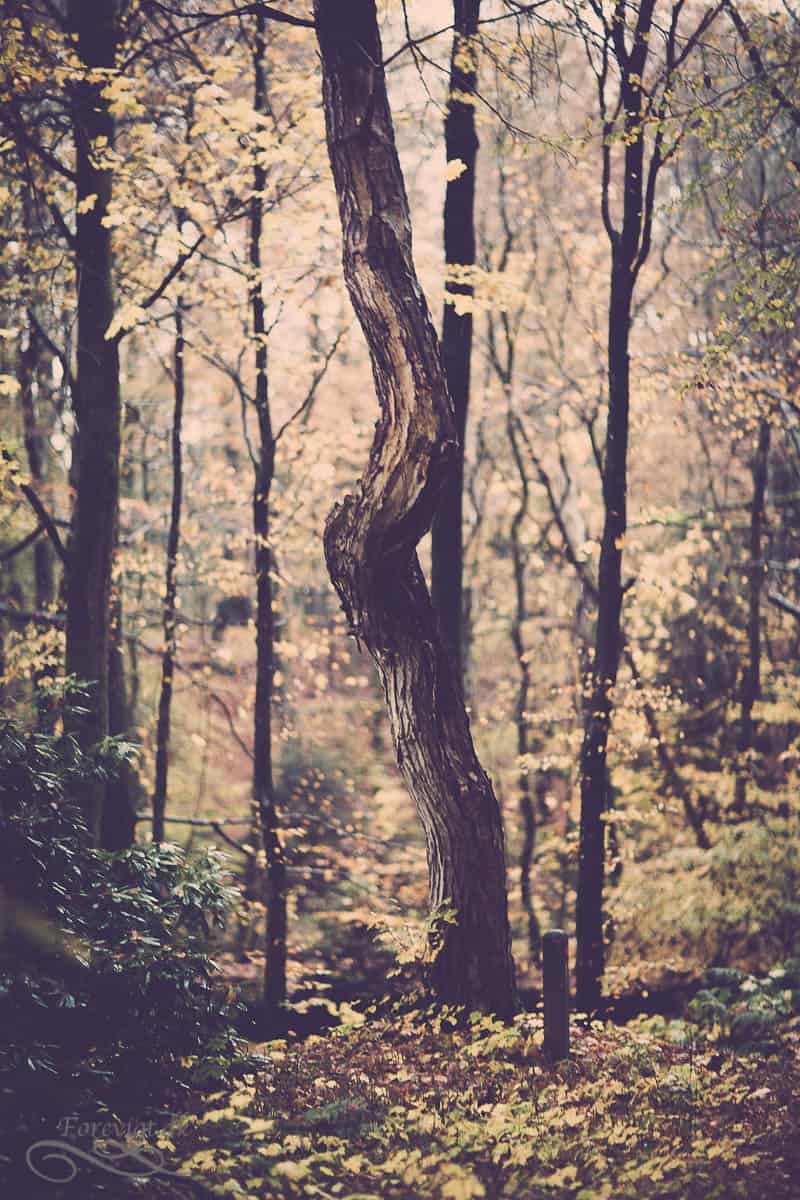 bryllupsfoto-1-148