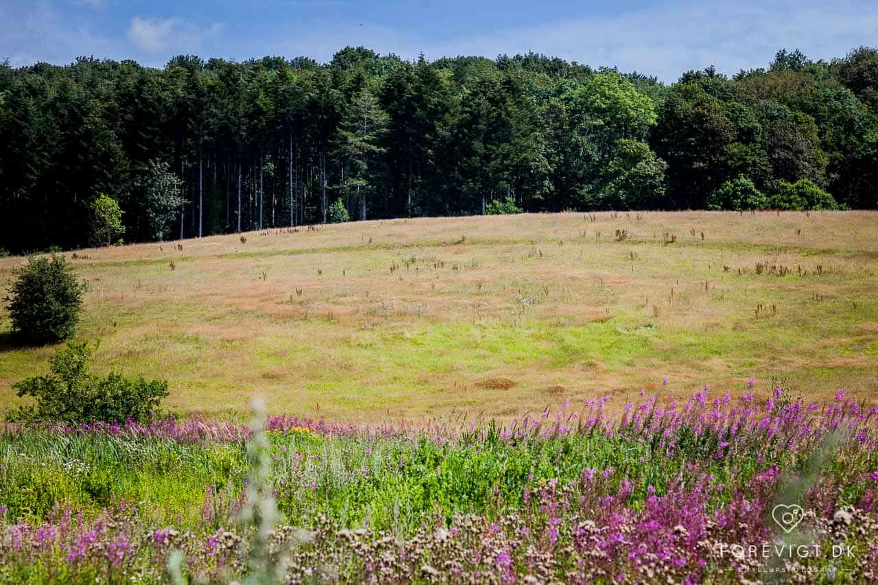 naturskønne Vejle Ådal
