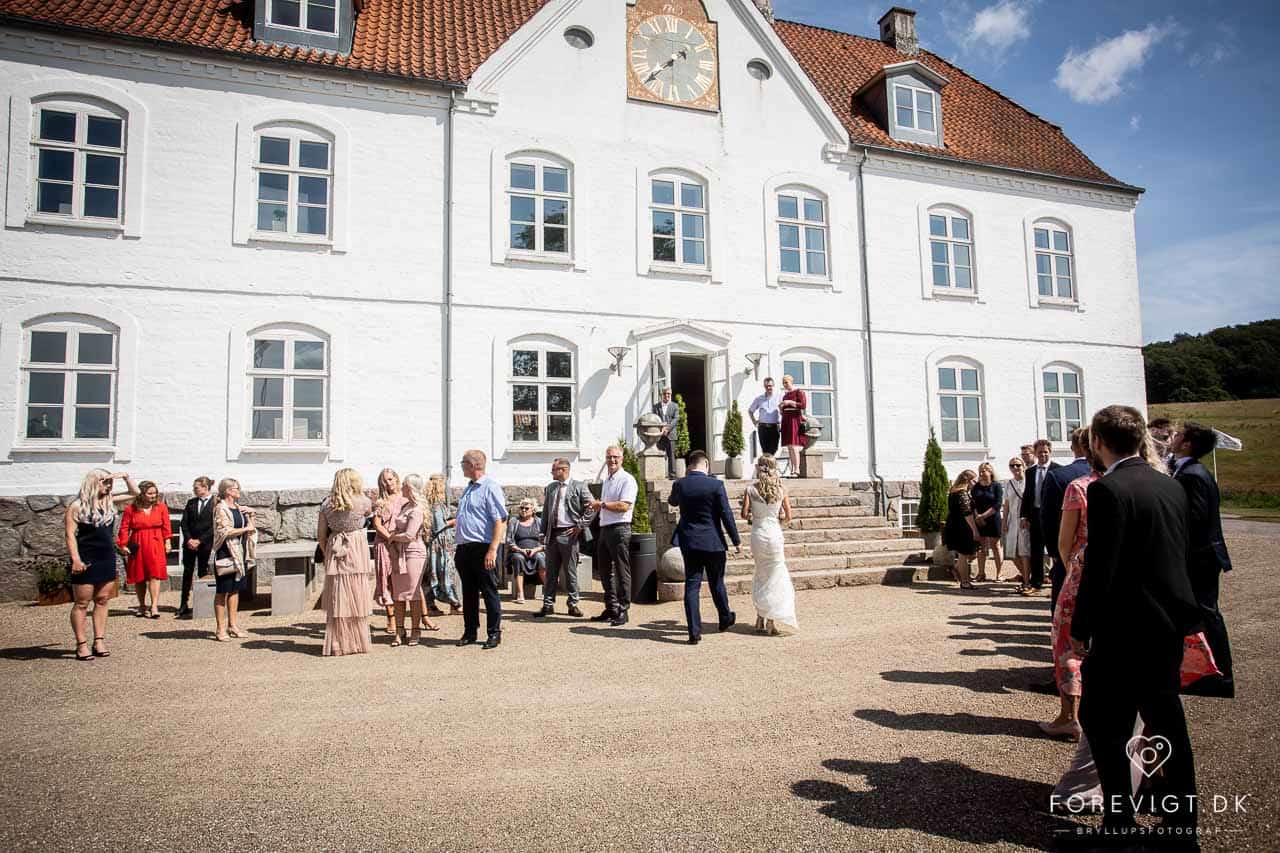 Festfotograf Vejle og Østjylland til event