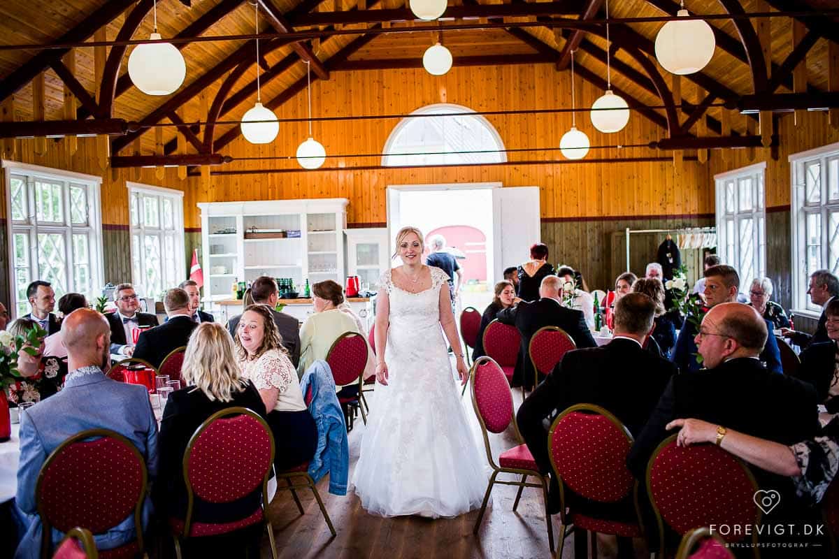 Reception, bryllupskage og bryllupsfest ved Vestermølle