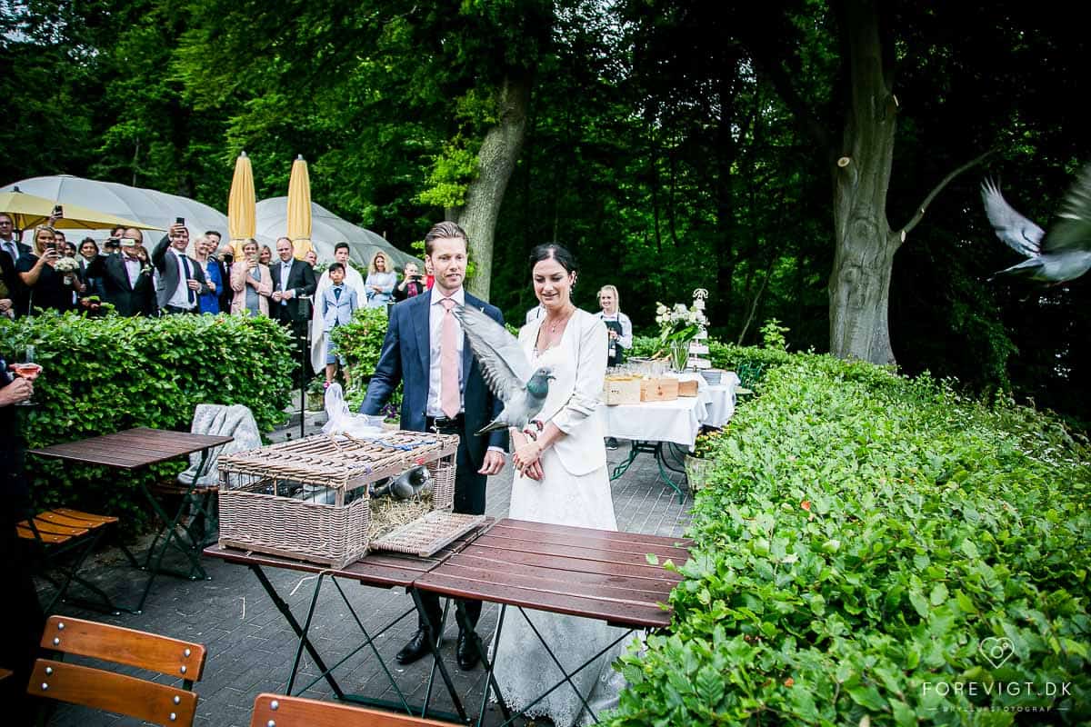 Billig bryllupsfotograf århus, Spar 40% på fotografi