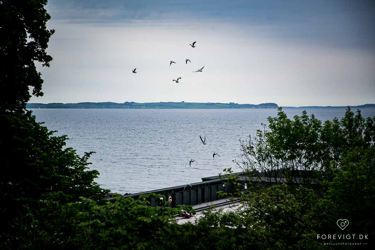 Bryllup ved vandet i Aarhus | Unik og anderledes lokation